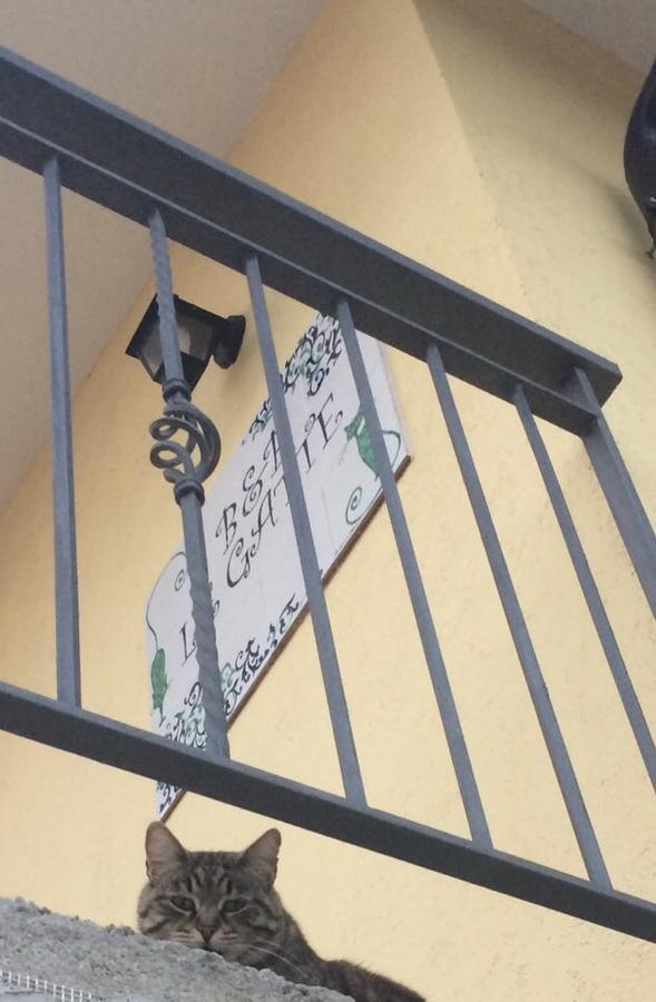 Le Gatte Acomodação com café da manhã Eboli Exterior foto